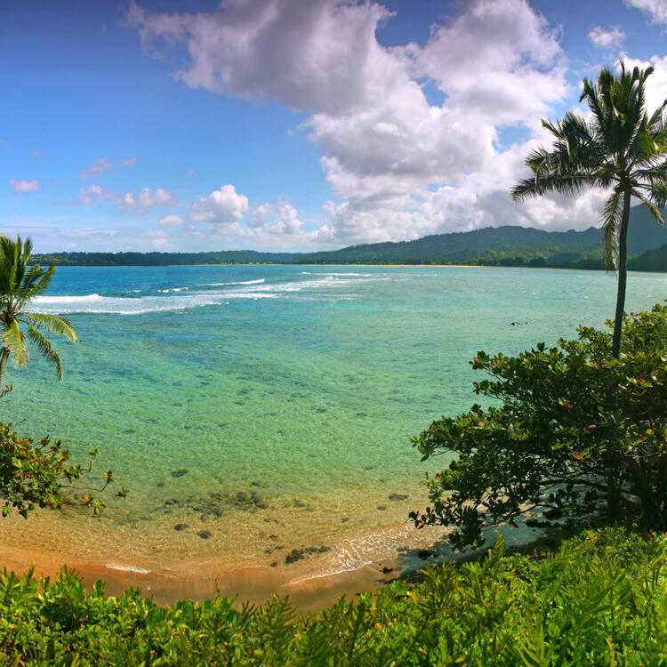 Blick auf die klare, türkisfarbene Küste von Coconut Coast auf Kauai, Hawaii, umgeben von üppigen Palmen