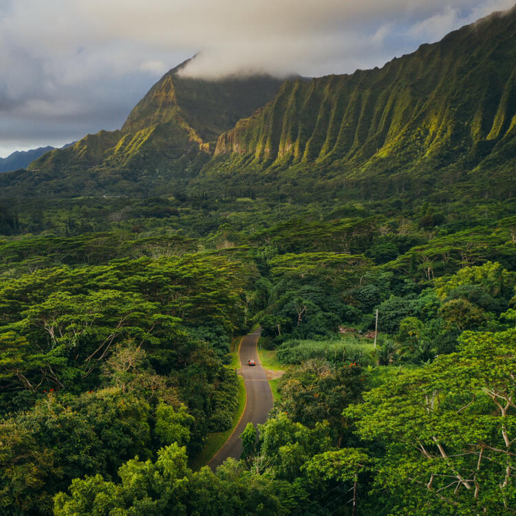 Eine szenische Straße, die sich durch ein üppiges grünes Tal auf Hawaii schlängelt, umgeben von dichtem tropischem Wald und Bergen im Hintergrund.