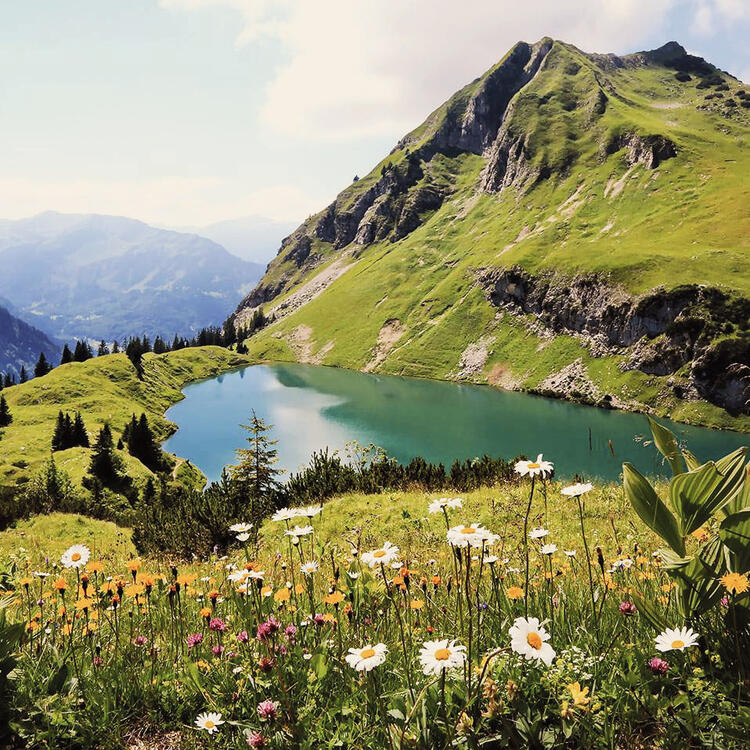 Los Alpes alemanes y la Selva Negra son de esos parajes que uno nunca se cansa de mirar. Son los lugares perfectos para conectar con la naturaleza.