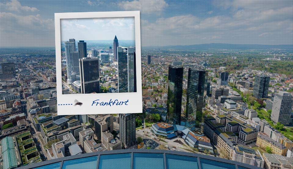 ¡Explore Frankfurt! La metrópoli del Meno. ¡Explore Frankfurt! La metrópoli del Meno.