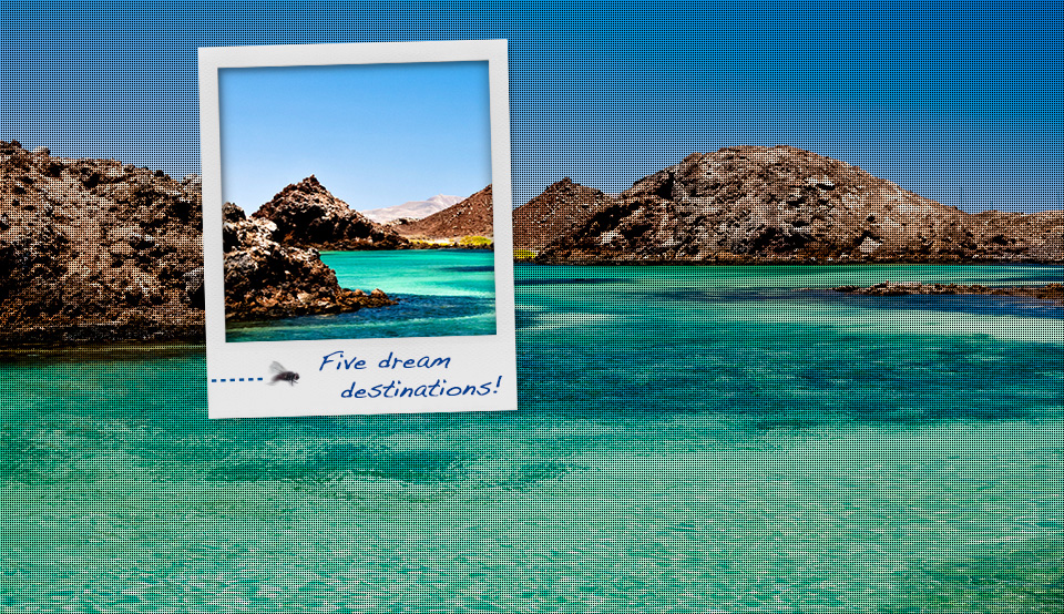 Islands in the sun! Islands in the sun!