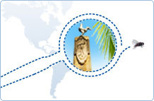 New destination: Panama