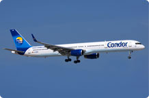 Condor aircraft winglets