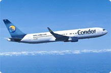 Condor winglets