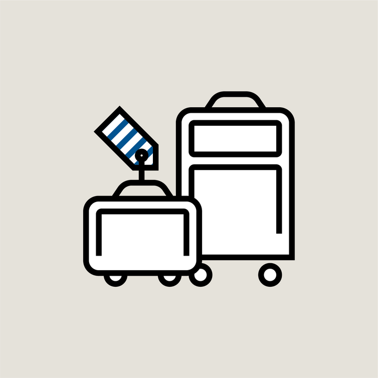 Bagages icon