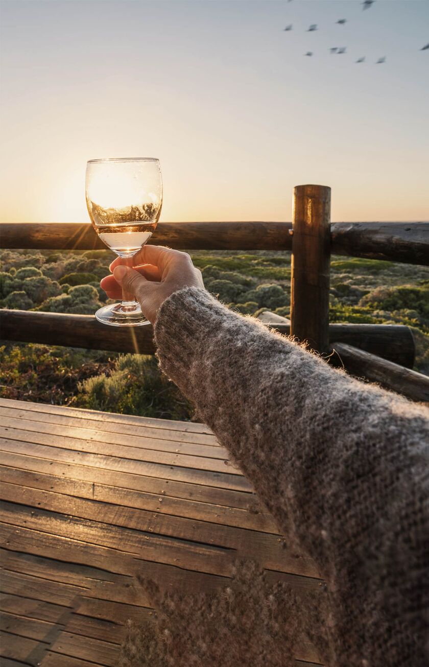 Brindare con un bicchiere di vino al tramonto durante un safari nell'area di Johannesburg.