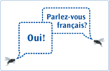 Parlez-vous français? - Oui!