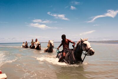 A group of people on horseback riding through shallow water with clear skies 
