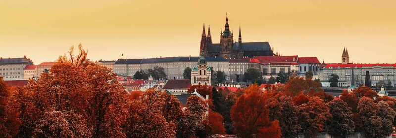 Panoramic view Prague with the cathedral rising above a cityscape, set against a warm-hued sunset, with autumn-colored trees in the foreground.