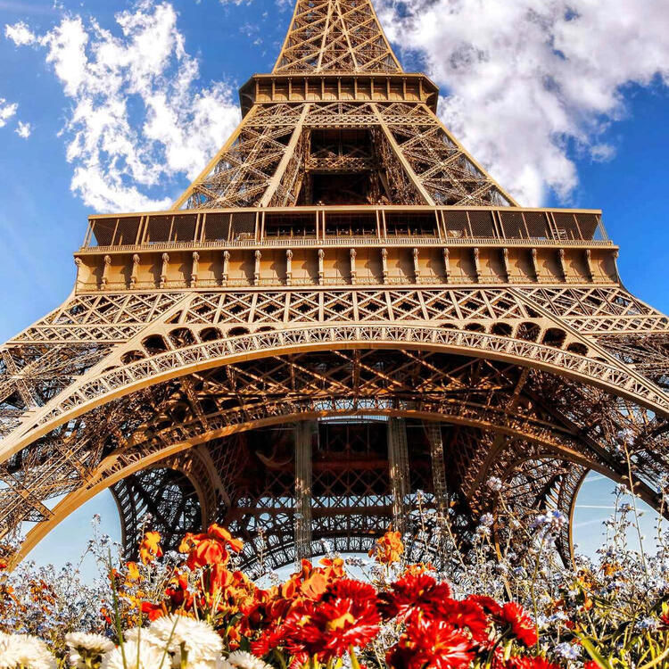  Eiffel Tower looms large behind vibrant flowers under a blue sky dotted with clouds.