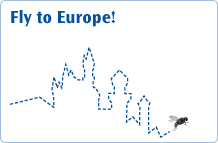 Europe