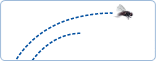 Longhaul Flights