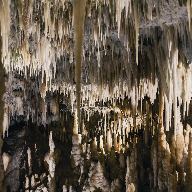 Die Tropfsteinhöhlen von Castellana in Apulien