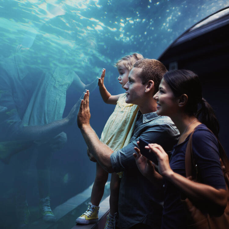 Sylt Aquarium Familie bestaunt die Fische und Pflanzen Sylter Aquarium