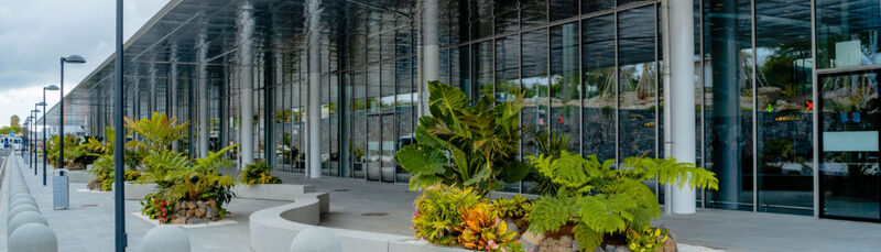 Flughafen Teneriffa Sued Der Eingang des Flughafens Teneriffa Sued