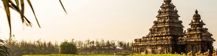 Chennai India Shore Temple Garden Tamilnadu Green