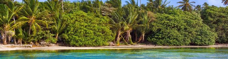 San Andrés Kolumbien Palmenstrand