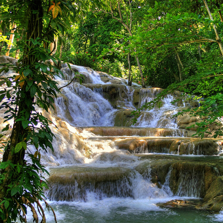 Dunn's River Falls