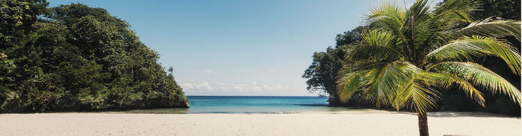 Strand von Frenchmans Cove auf Jamaika