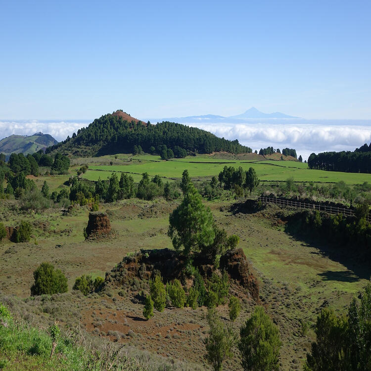 naturlandschaft auf el hierro