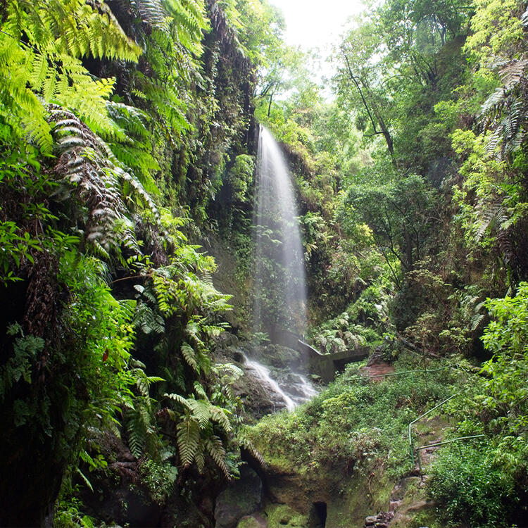 Wasserfall Los Tilos