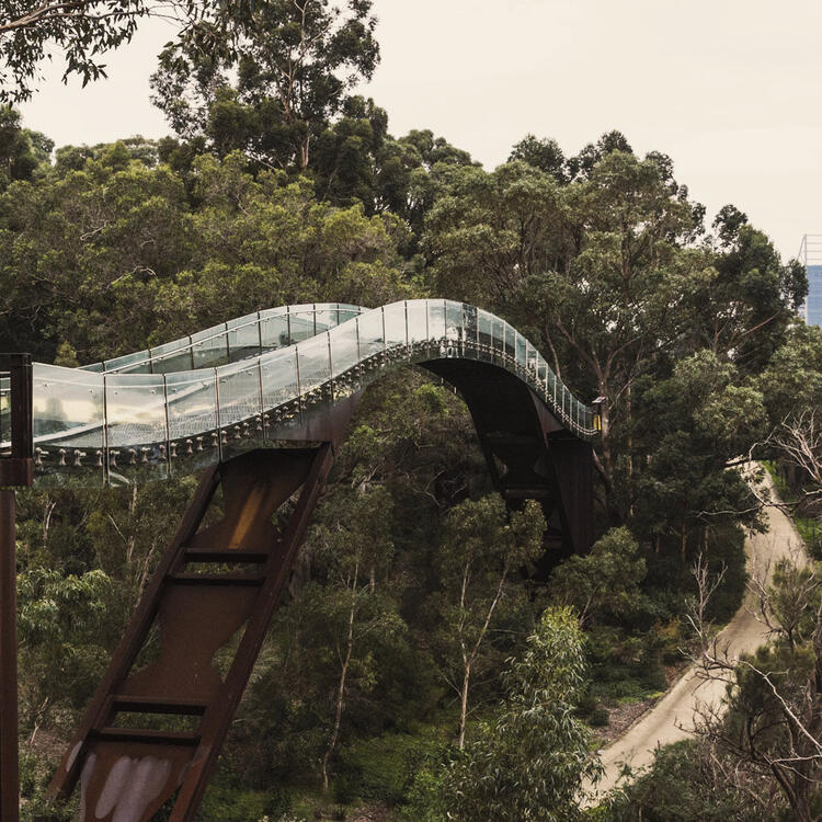 Kings Park und dessen Botanischer Garten Kings Park und dessen Botanischer Garten