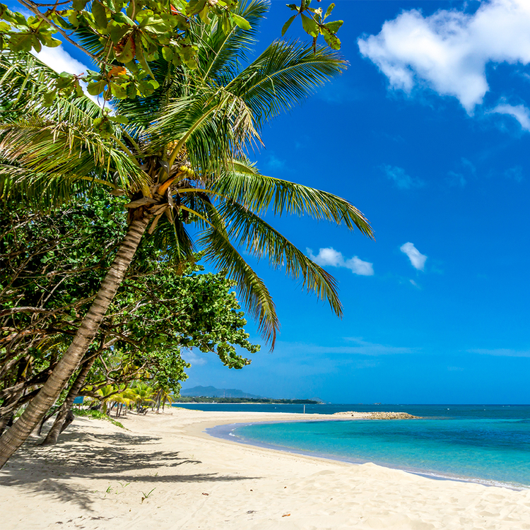 Tropischer Strand mit Palmen an einem sonnigen Tag mit kristallklarem Wasser und blauem Himmel