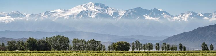 Mendoza Argentinien Weinberge Bergpanorama