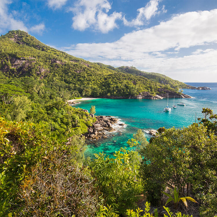 Aussicht auf eine Bucht vom Wanderweg Anse Major Trail