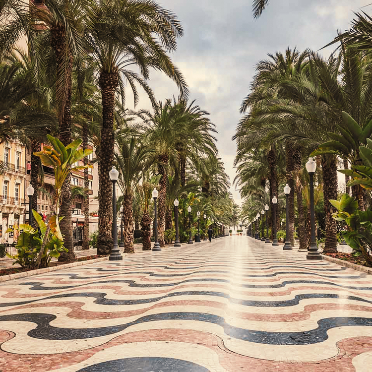 Promenade Explanada - Allee von Palmen - die wichtigsten touristischen Straße in Alicante, Spanien