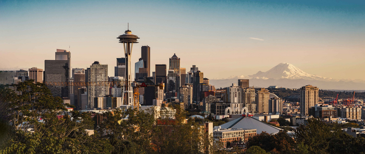 Seatle Skyline - Space Needle 