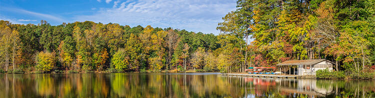 See im Umstead State Park