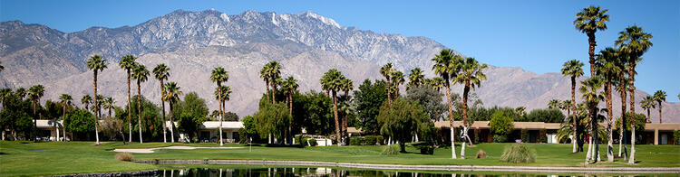 Palmen vor Bergpanorama in Palm Springs