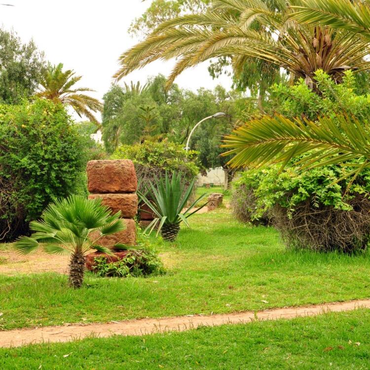 Palmen und Kakteen im botanischen Garten Olhao Park