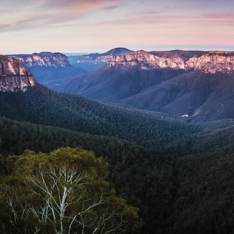Blick auf Blue Mountains National Park Wandern gehen im Blue Mountains National Park
