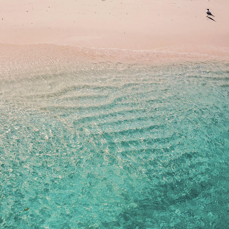 Pinker Strand auf Harbour Island