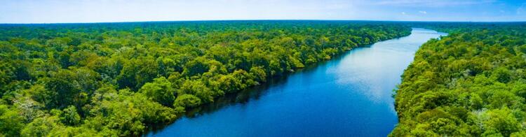 Manaus Amazonas Luftansicht