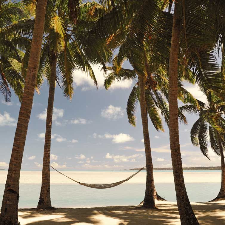 Jamaika im Winter Strand mit Palmen, zwischen denen eine Hängematte gespannt ist.
