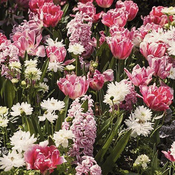 Blumenlandschaften im botanischen Garten erwarten die Besucher