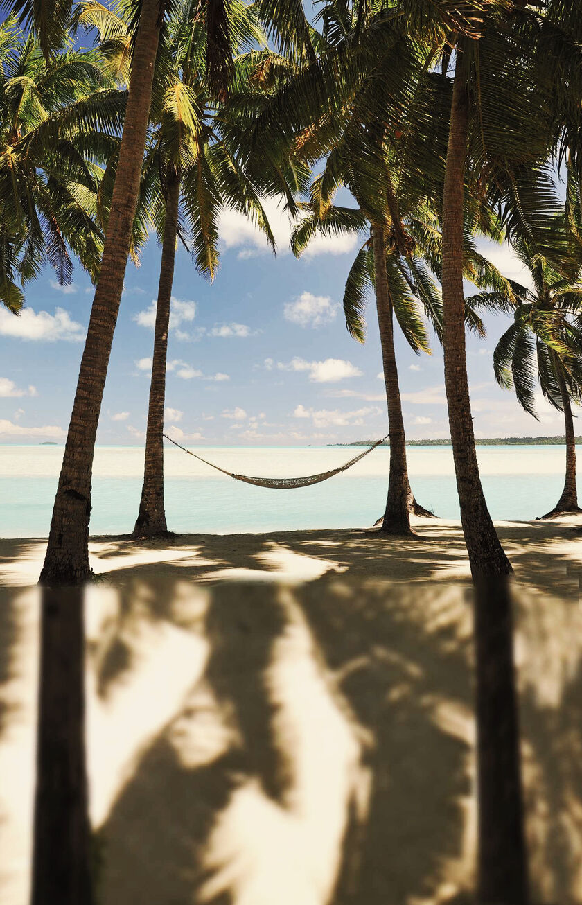 Palmen am Strand in Montego Bay (MBJ), Jamaika, Condor Ziel