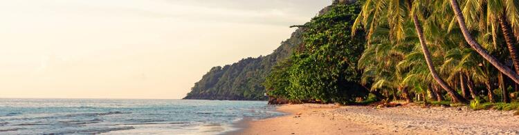 Koh Chang Strand