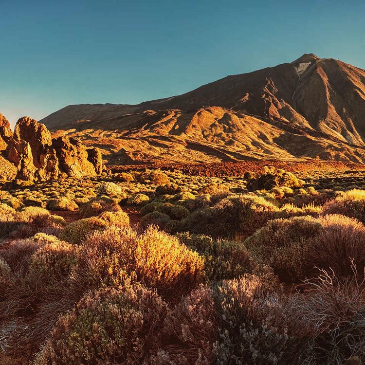 Der beeindruckende Nationalpark Teide - Teneriffa | Condor