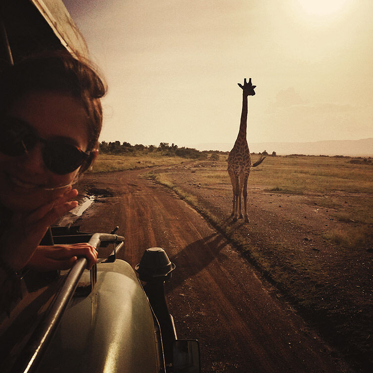 Mombasa Safari Tour in Mombasa mit einer Giraffe im Hintergrund