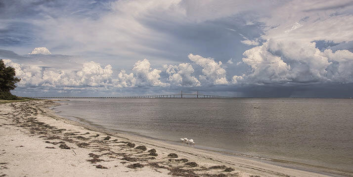 Der Strand von Tampa