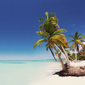 Punta Cana (PUJ). Strand Strand in der Dominikanischen Republik, Condor Ziel.