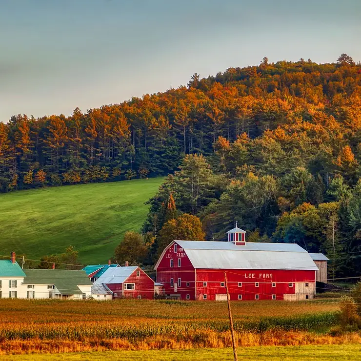 Un fienile rosso in un campo nel New Hampshire, alberi con foglie colorate sullo sfondo