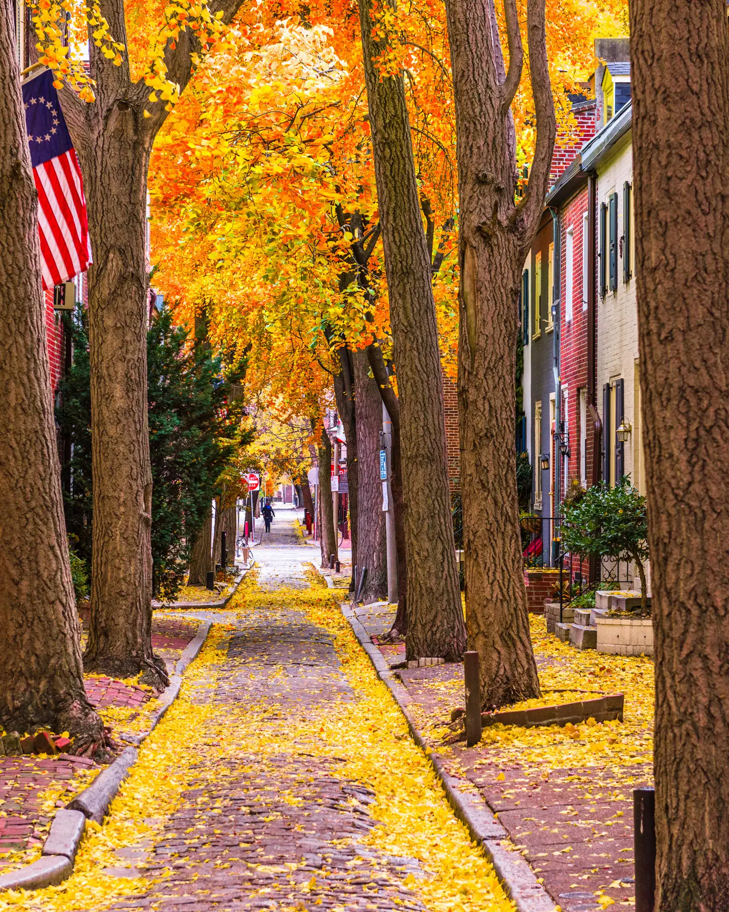 Paysage automnal d'une ruelle pavée, bordée de grands arbres aux feuilles jaune vif et de maisons en briques rouges sur les côtés. Un drapeau américain est accroché à l'une des maisons.