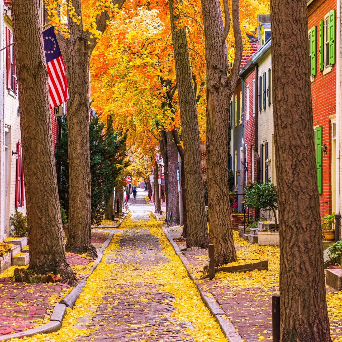 Autumnal alley in a town with cobblestones, flanked by tall trees with bright yellow leaves and red brick houses on the sides. An American flag is attached to one of the houses.