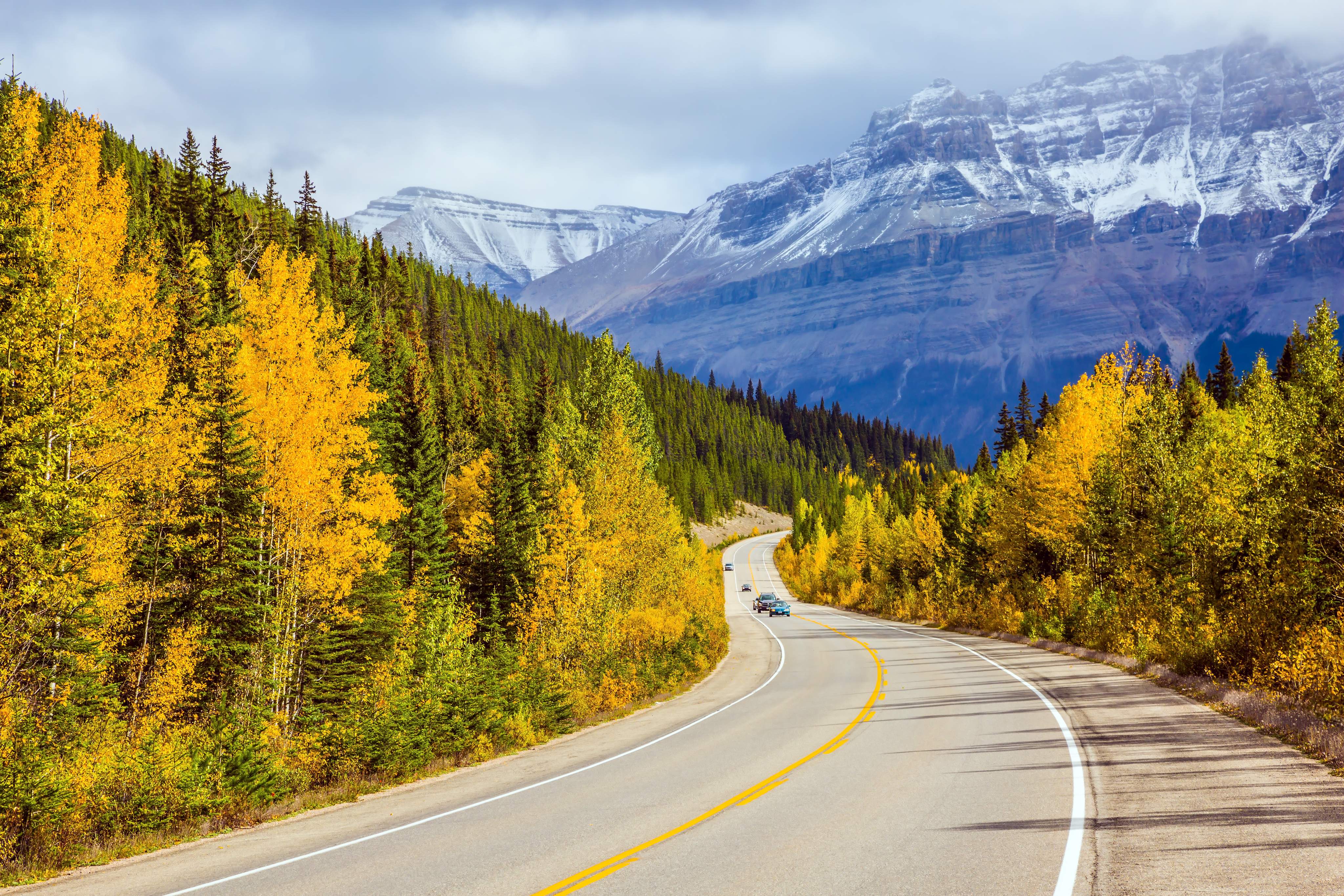 Country road winding through an autumnal forest landscape, with snow-capped mountains in the background and a blue sky.