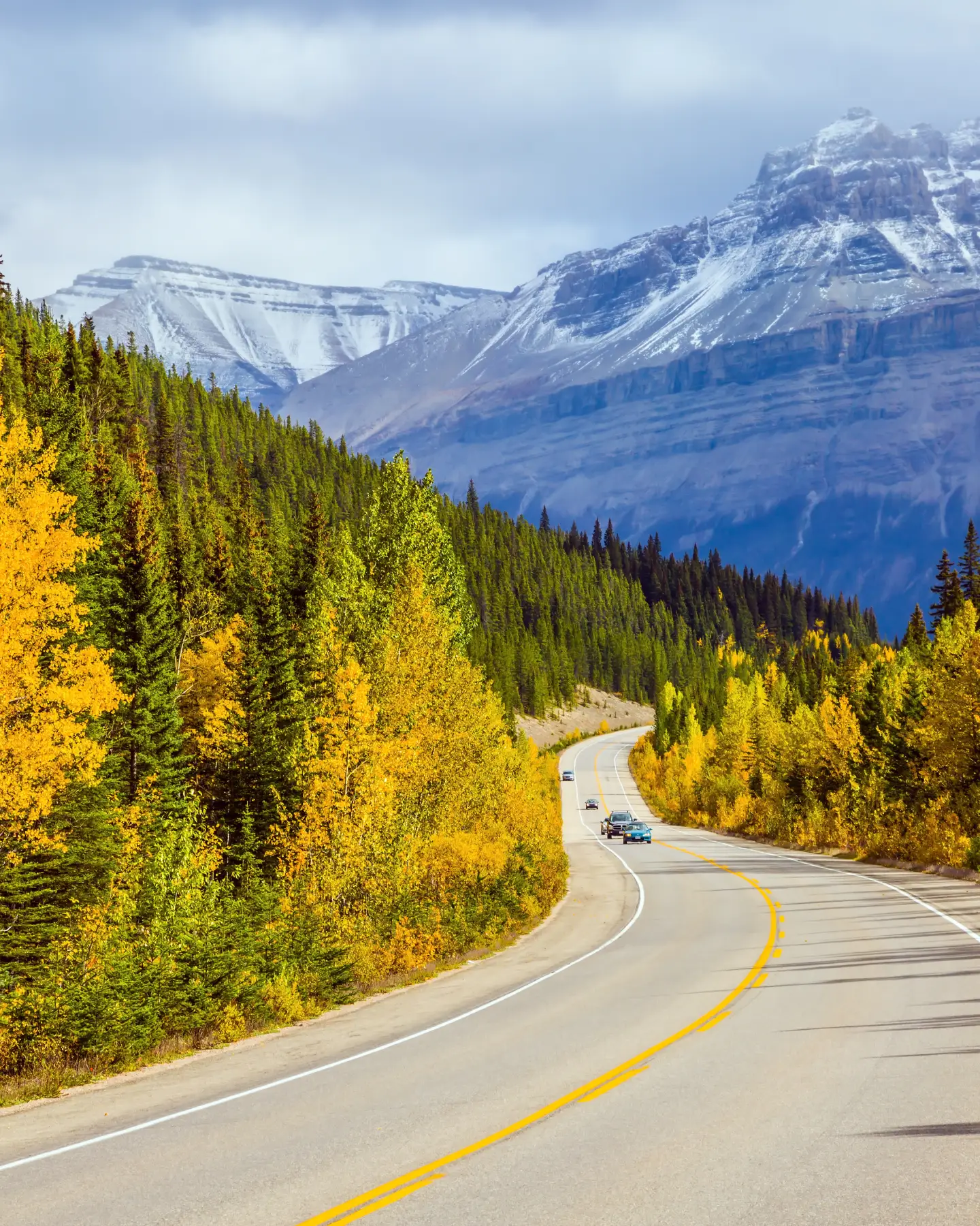 Country road winding through an autumnal forest landscape, with snow-capped mountains in the background and a blue sky.